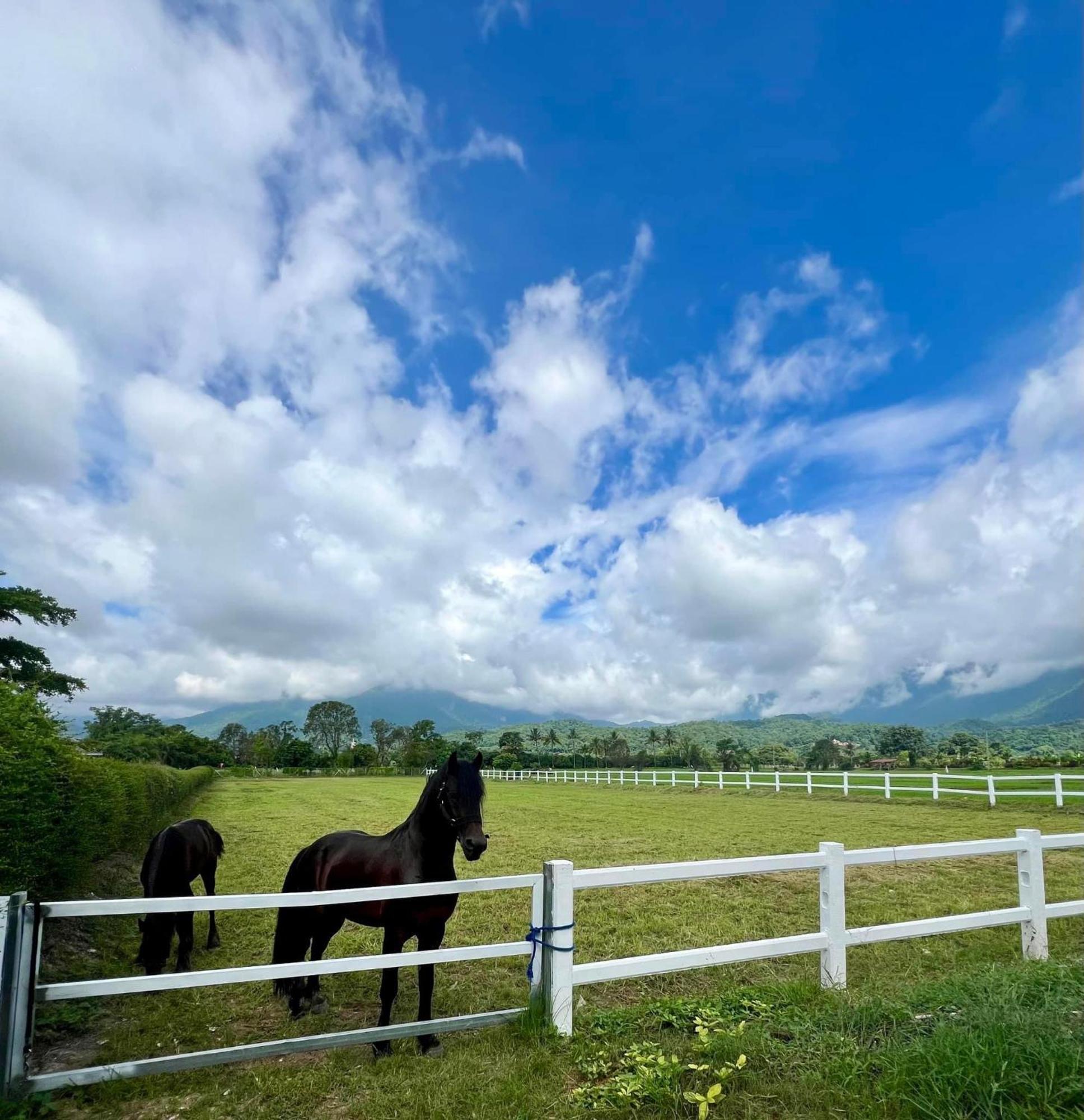 The Wes Village, Incl Free Breakfast & 100 Thb Food Gift Chiang Dao Luaran gambar